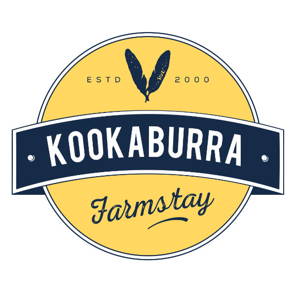 Kookaburra